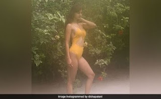 Disha Patani,Bollywood News,Disha Patani latest instagram images,Disha Patani latest news,Disha Patani images,instagram,Tiger Shroff,