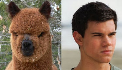 Taylor Lautner nude fakes