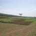 Andaman, Island. 5 Acres, Hotel Plot / Land for Sale (6.5 cr), Wandoor, Andaman, Island.