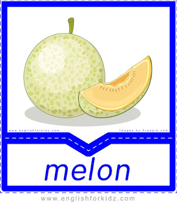 Melon - English flashcards for the fruits and vegetables topic