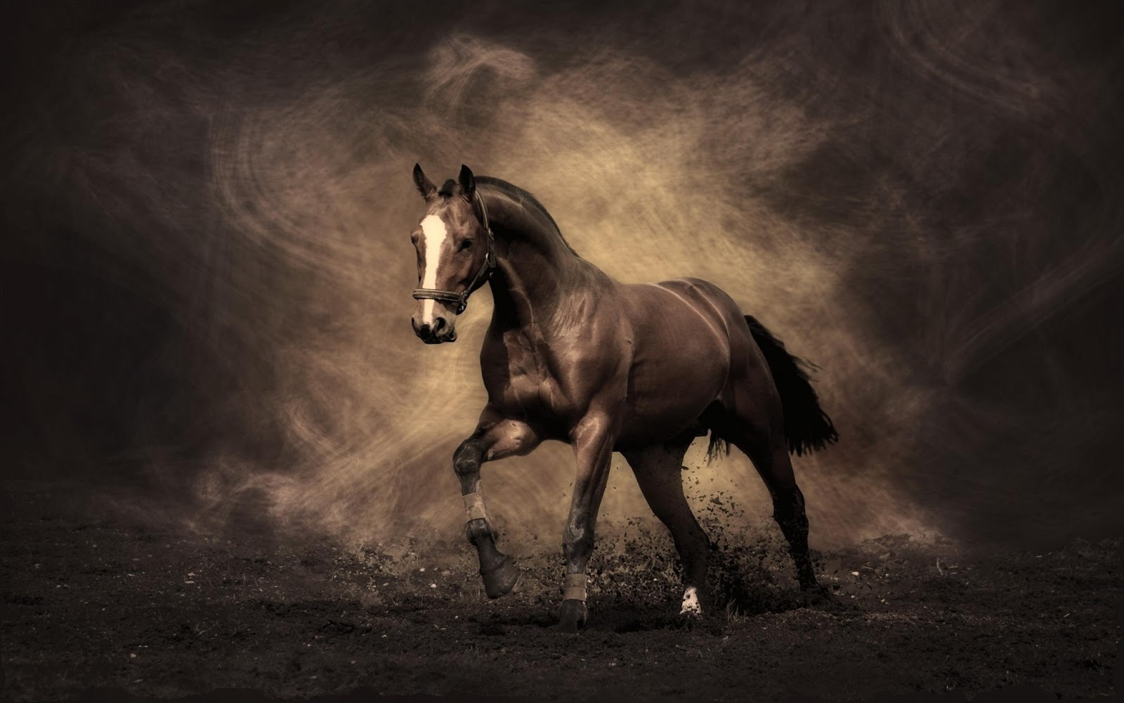 WALLPAPERS HD: HD-Wallpaper-Sephia-Horse-Colour