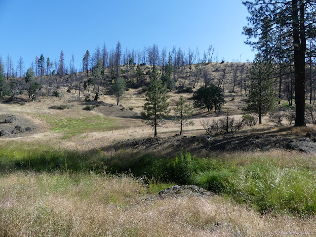 03: drying grasses in rolling hills