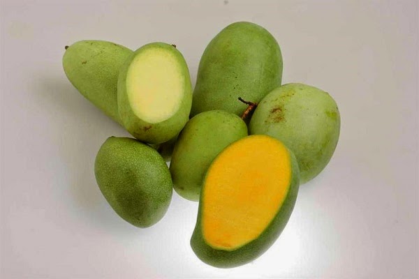 manfaat mangga muda