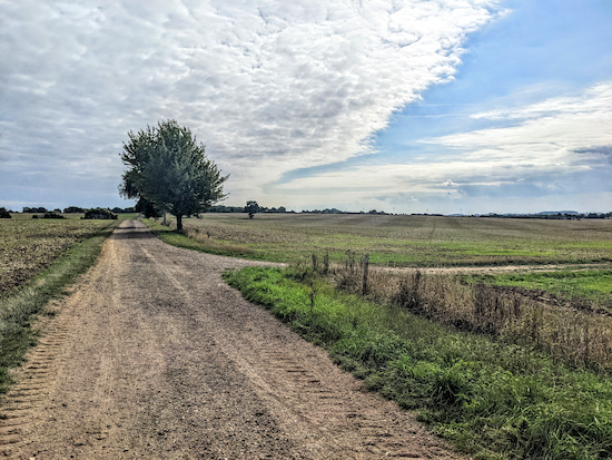 Turn right on Buntingford bridleway 10