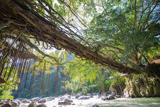 travel padang pangkalan kerinci sorek kota padang foto