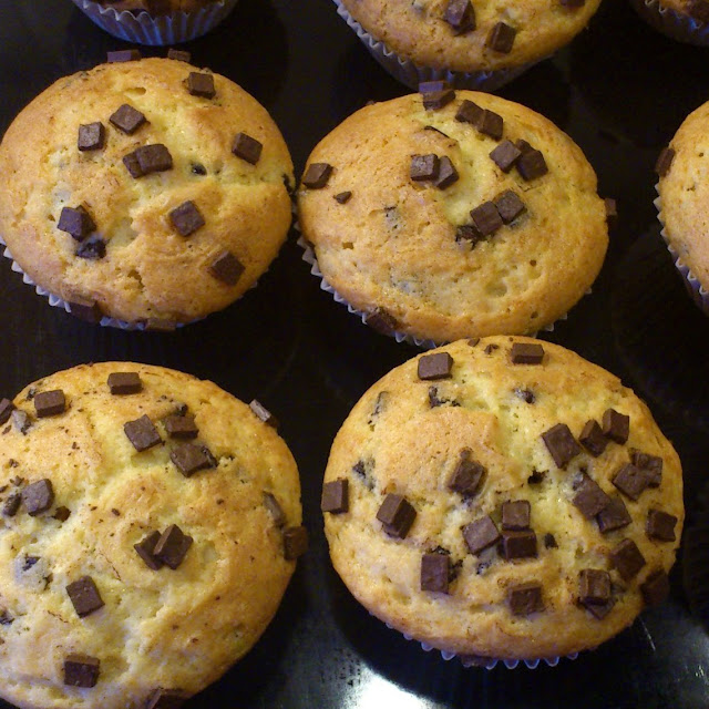 Muffins mit Schokostückchen