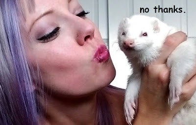 funny white ferret tells girl "no thanks" when she tries to kiss it