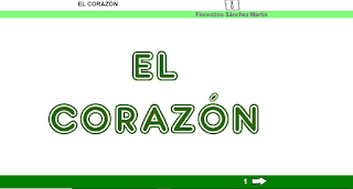  El corazón