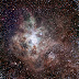 Nebula Tarantula, Nebula Besar di Galaksi Asing