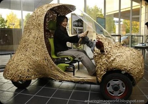 Bamgoo, an electric car001