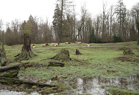 Aldergrove Zoo - landscape