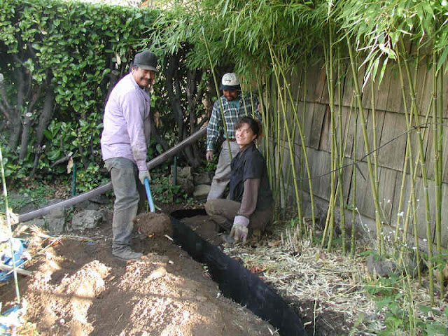 Bamboo Barrier