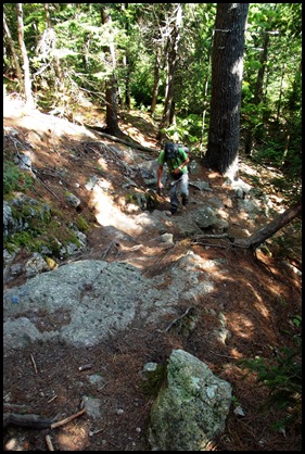 Flying Mountain to Valley Cove trail to Valley Peak 181