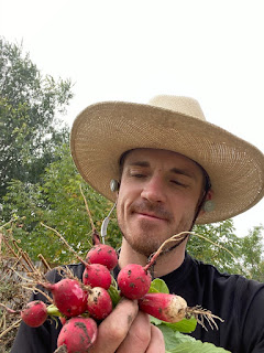 Bunch of Radishes