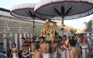 Parthasarathy Perumal, Maasi Sravanam, Thiruvonam Purappadu,  Trplicane,  Purappadu, Thiruvallikeni, Utsavam, 