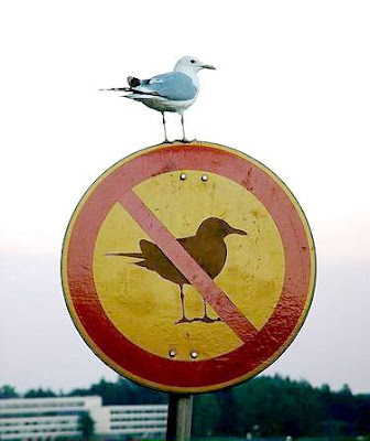No birds sign