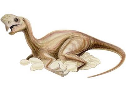 Resultado de imagen de oviraptor incubacion