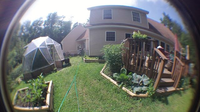 Raised Bed Gardens