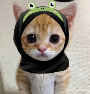 pp kucing ramadhan berhijab .1