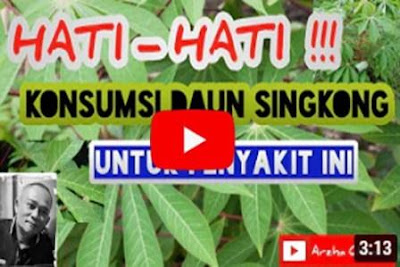 https://keranjangkesehatan.gankoko.com/2021/02/banyaknya-manfaat-daun-singkong.html