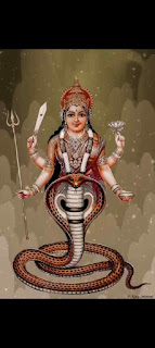 चित्र