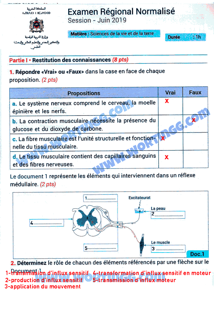 examen régional svt 3ème année collège maroc