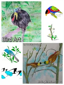 drawings and paintings of birds