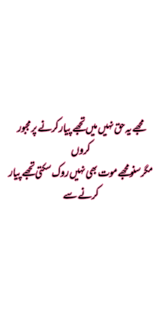Love Urdu Poetry 