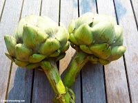 Artischoken artichokes Artichauts Carciofi