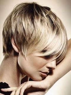 Cute Short Hairstyles 2012 - 2013, cute short hairstyles 2012, cute short hair styles, cute short hairstyles for women, cute short haircuts, cute short hairstyles for girls, cute hairstyles for short hair, cute short haircuts for women