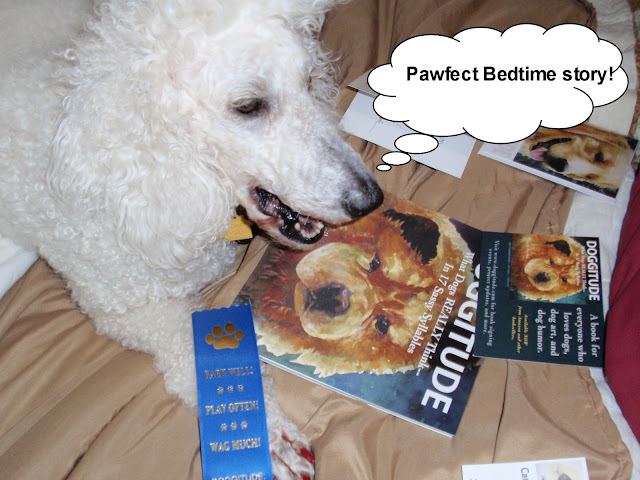 Poodle looking at the #Doggitude book -carmapoodale.com