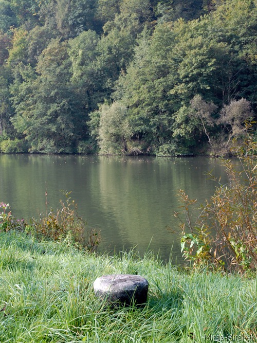 _DSC0419vh