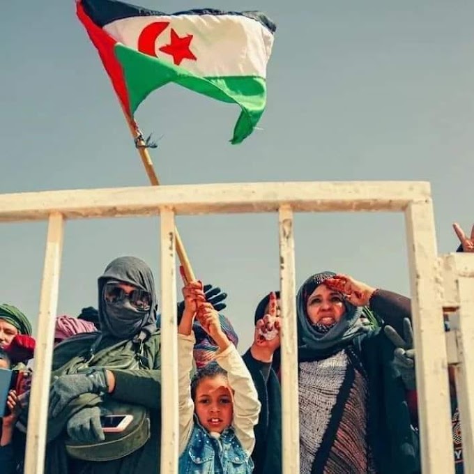 Los tres hechos que hicieron morder el polvo a Marruecos y que además demostraron que la voluntad de los saharauis es inquebrantable