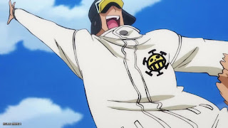 ワンピースアニメ ハートの海賊団 ペンギン ONE PIECE Heart Pirates Penguin