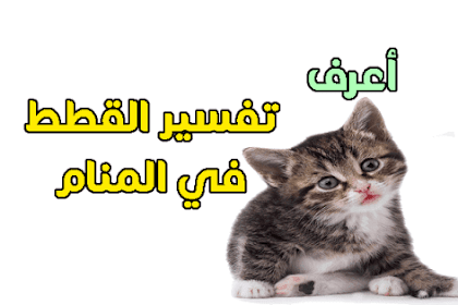 ما معنى اسد ابيض في الحلم