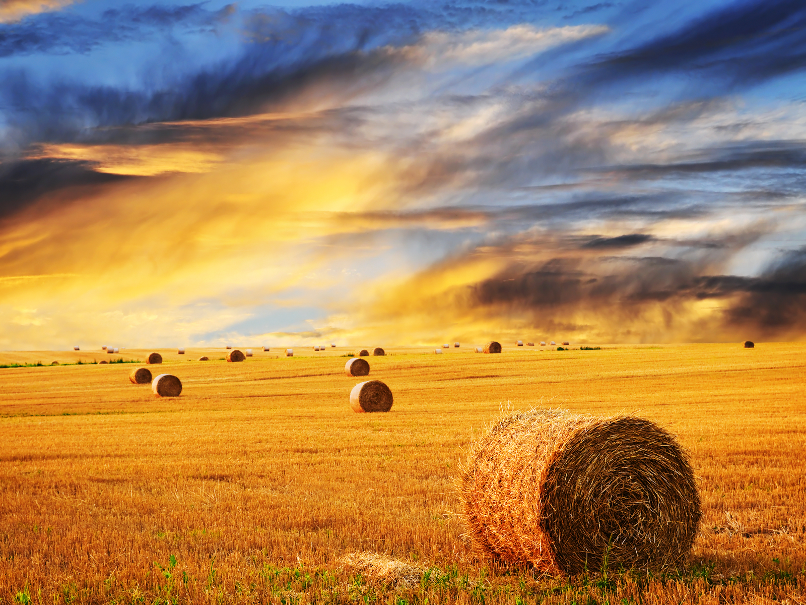 Farm Skyline Wheat wallpaper · Watergate Becomes Sore Point at Nixon Library