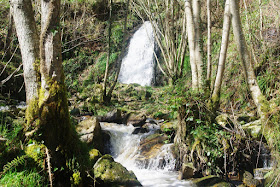 Imagen de la cascada del Nonaya