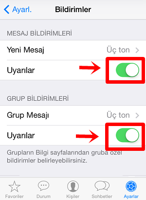 whatsapp mesaj sesi