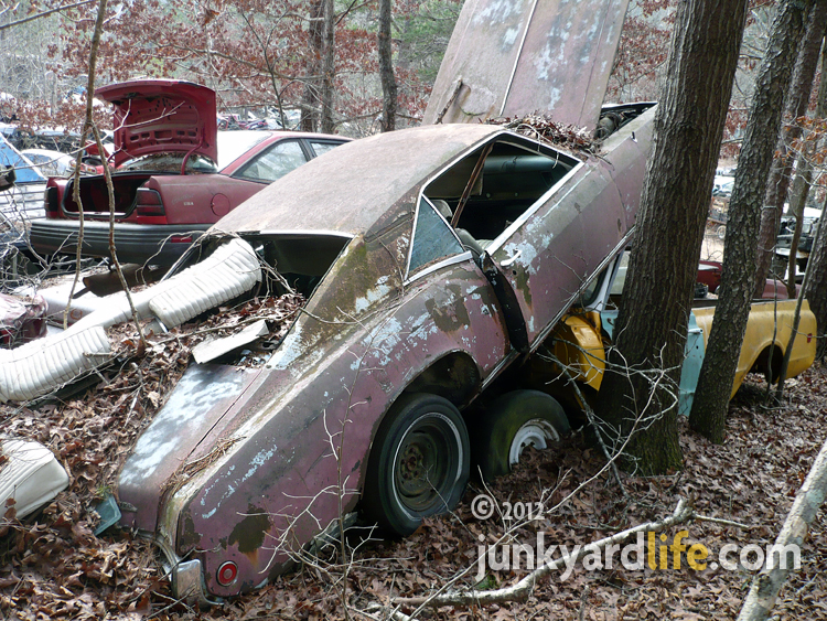 Cars stacked like this 1969 Buick Riviera are not uncommon at Gibbs