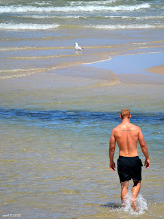 man and gull