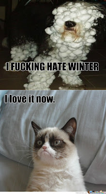 I Hate Winter