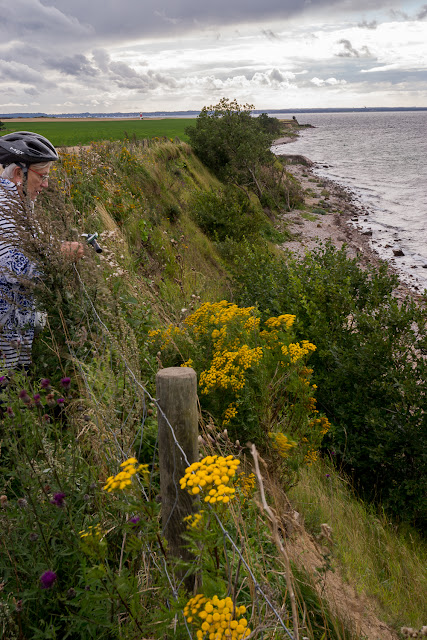 En cykelutflykt runt Ven