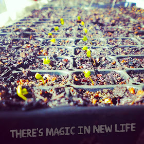 There's magic in new life