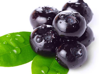 Bilberry fruit images wallpaper