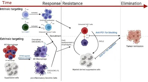 Immunotherapy