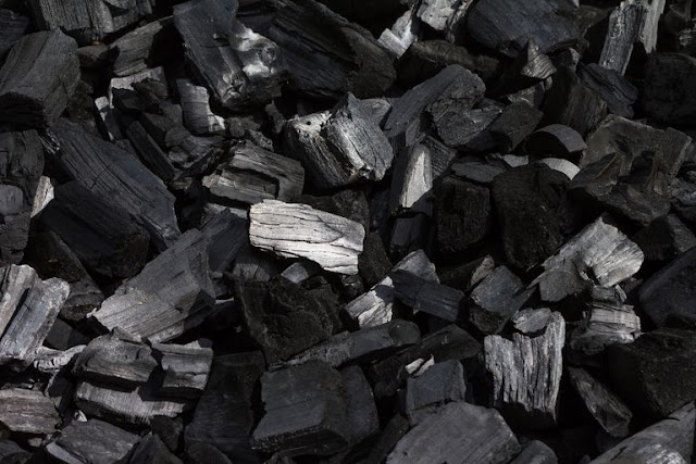 WHAT THE SCIENTISTS WONT TELL YOU ABOUT CHARCOAL. 