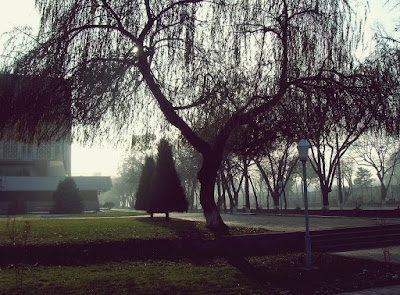 Ташкент. Осенняя картинка.  Tashkent. Autumn picture.