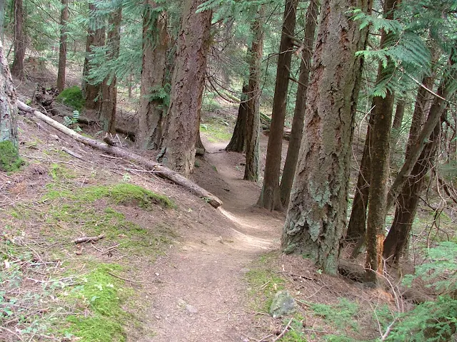 Eagle Bluff trail on Cypress Island