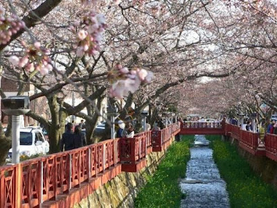 Tempat Wisata di Korea Selatan