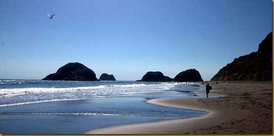 Surfer on beach